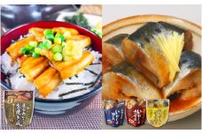 A-09101 あなご蒲焼き風＆いわし煮付けセット