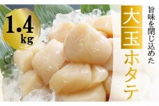 B-32029 ＼漁業者応援品／【北海道根室産】ホタテ貝柱(刺身用)1.4kg