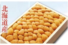 B-71020 ムラサキウニバラ詰め250g×1折[7月上旬以降発送]