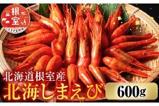 B-42086 【北海道根室産】ボイル北海シマエビ600g