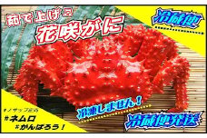 B-59017 【北海道根室産】花咲がに 2～3尾(計1kg以上)(チルド便発送)