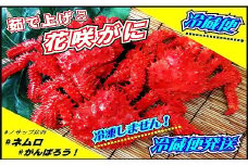 D-59033 【北海道根室産】花咲がに 4～6尾(計3kg以上)(チルド便発送)