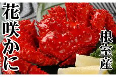 D-30043 【北海道根室産】花咲かに500～650g×6尾