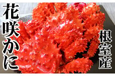 D-70046 【北海道根室産】花咲かに500～650g×6尾