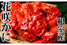D-36045 【北海道根室産】花咲かに500～650g×6尾