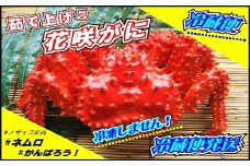 C-59024 【北海道根室産】花咲がに 2～3尾(計1.4kg以上)(チルド便発送)