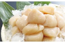 A-32027 ＼漁業者応援品／【北海道根室産】ホタテ貝柱1kg(500g×2P)