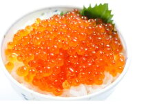 B-81016 秋鮭いくら100g×4P(計400g)