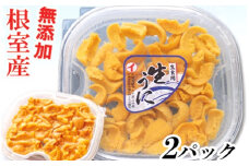 E-71035 【北海道根室産】エゾバフンウニ塩水パック100g×2P