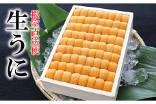 E-71033 エゾバフンウニ並べ詰め250g×1折