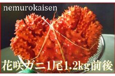D-57025 【北海道根室産】花咲ガニ1.2㎏前後×1尾