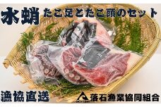 F-20004 【北海道根室産】水たこ足2本、たこ頭1切