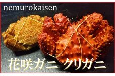 A-57054 【北海道根室産】花咲ガニとクリガニの食べ比べセット