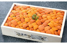 C-24004 エゾバフンウニ約240g×1折[10月下旬以降発送]