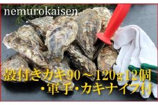 A-57055 【北海道根室産】殻付カキ90～120g×12個