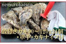 C-57036 【北海道根室産】殻付カキ90～120g×24個