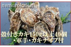 D-57028 【北海道根室産】殻付カキ150g以上×40個
