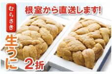 B-71021 ムラサキウニ100g×2折[7月上旬以降発送]
