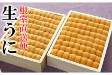 D-40049 ムラサキウニ250g×2折[7月中旬以降発送]
