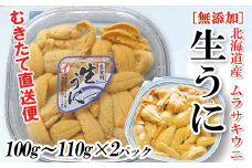 B-53012 ムラサキウニ塩水パック100～110g×2P[7月上旬以降発送]