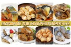 D-09034 煮付け詰め合わせセット(21種・計112P)