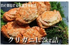 A-57056 【北海道根室産】クリガニ200～250g×5～6尾(計1.2kg)