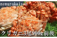 A-57057 【北海道根室産】クリガニ3尾(計900g前後)