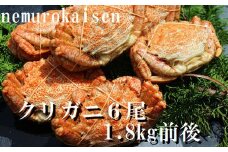 C-57037 【北海道根室産】クリガニ6尾(計1.8kg前後)