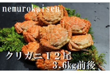 D-57030 【北海道根室産】クリガニ12尾(計3.6kg前後)