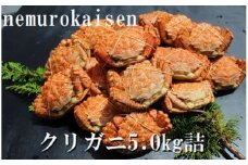 D-57031 【北海道根室産】クリガニ200～250g×20～25尾(計5.0kg)