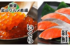 A-76013 いくら醤油漬け100g×1P、紅鮭切身5切×2P