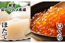 B-76006 いくら醤油漬け100g×1P　ほたて貝柱500g×1P
