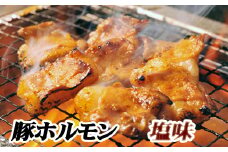 B-76023 味付け豚ホルモン(塩味)250g×6P