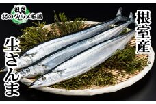 D-76001 【北海道根室産】さんま5尾×12P(計60尾)