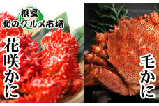 D-76009 毛かに・花咲かにセット