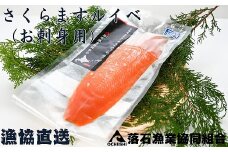 B-20003 【北海道根室産】さくらますルイベ(刺身用)半身×4枚(計1.2～1.5kg)