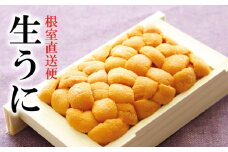 A-40018 エゾバフンウニ70g×1折[10月中旬以降発送]