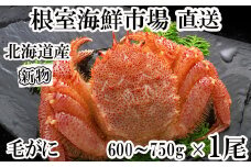 C-14033  ボイル毛がに600～750g×1尾
