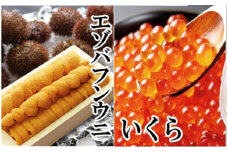 D-40051 エゾバフンウニ130g×1折、いくら醤油漬150g×1P[2026年1月中旬以降発送]