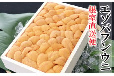B-53015 エゾバフンウニ140g×1折[11月中旬以降順次発送]