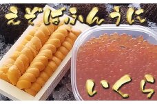 D-71059 エゾバフンウニ100g×1折、いくら醤油漬け150g×1P[11月中旬以降発送]