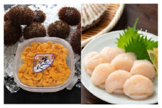 D-71060 エゾバフンウニ塩水パック100g×1P、お刺身ホタテ貝柱500g×1P[11月中旬以降発送]