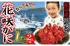B-80004 【北海道根室産】花咲がに500g前後×2尾セット