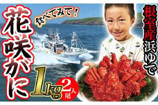 B-80005 【北海道根室産】花咲がに500g前後×2尾セット(チルド便)