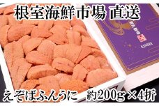 E-28021  根室海鮮市場＜直送＞エゾバフンウニ(赤系)200g×4折