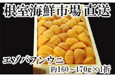 C-11038  エゾバフンウニ(黄系)160～170g×1折