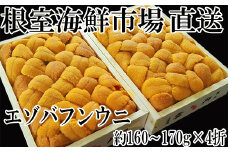 E-14021  エゾバフンウニ(黄系)160～170g×4折