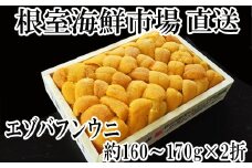 D-28041  根室海鮮市場＜直送＞エゾバフンウニ(黄系)160～170g×2折
