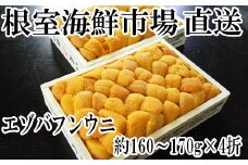 E-28022  根室海鮮市場＜直送＞エゾバフンウニ(黄系)160～170g×4折