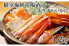 B-11099  生食可！カット済み生ずわいがに約1.2kg(お刺身・焼きガニ・カニ鍋等)